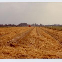 Familie De Coninck oogst (I)