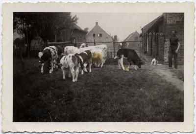 Sint-Jansgoed, Sint-Jansdreef Eeklo