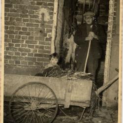 Grootvader en kleindochter mesten paardenstal uit, Eeklo, 1956