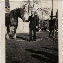 Kippen voederen op het erf bij Minnaert, Lembeke, ca. 1950