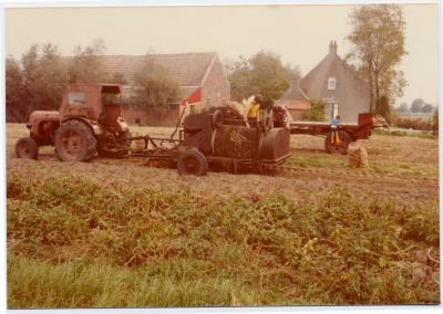 Aardappelen rooien met de aardappelrooier (II)