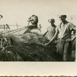 Boer Minnaert met zijn boerenpaard, Lembeke, 1930-1940