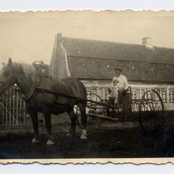 Een huwelijksfeest bij de Minnaerts in Lembeke, ca. 1950