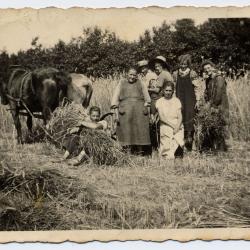 Eerste tractor op hoeve Vercauter