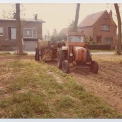 Familie De Coninck oogst (IV)