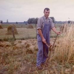 Dieren van oud Oost-Vlaams ras