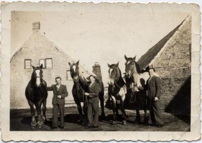 Drie broers poseren bij een werkpaard