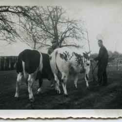 Een dag op de boerderij