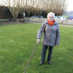 Pikbinder getrokken door paarden (1), Zelzate