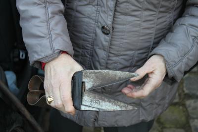 Maria Vereecken met schapenschaar