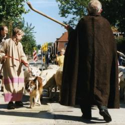 Herder met schapen in de processie van Rieme, 2003(II)