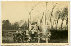 Huwelijksmis van Paul Van Heysbroeck en Ann Dierkens (I), 1971