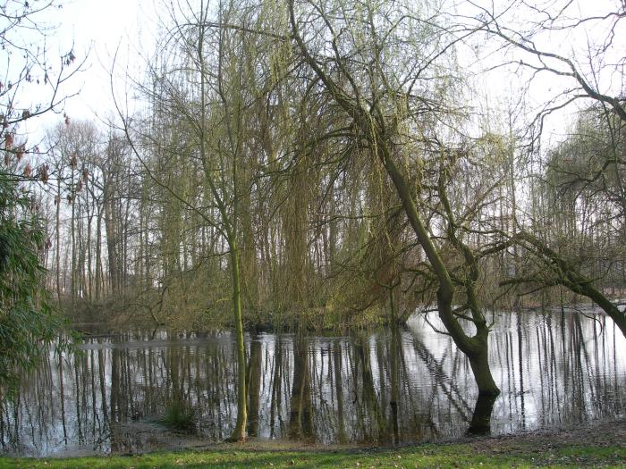 Laeresteen