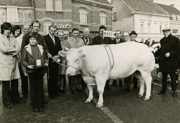 Prijsstier, Zomergem, 1970-1980