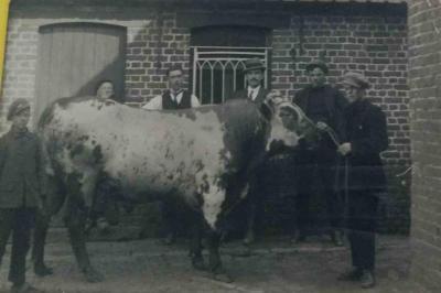 Winnaars Vette Veemarkt, Zomergem, 1930-1940