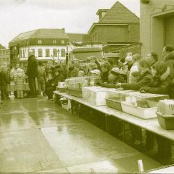 Kinderen laten hun huisdieren keuren op Vette Veemarkt, Zomergem, 1995-2005