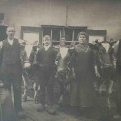 Winnende dieren Vette Veemarkt, Zomergem, 1920-1940