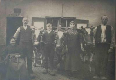 Winnende dieren Vette Veemarkt, Zomergem, 1920-1940