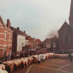 Prijsbeesten, Zomergem, 1960