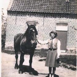 Erelidkaart BJB Groeningeruiters, Kaprijke (1)