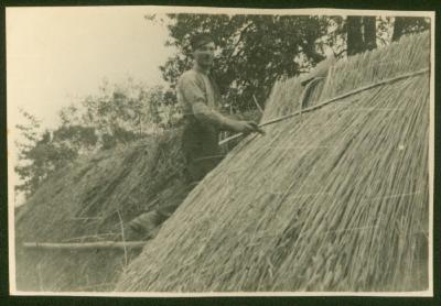 Oscar Beernaert dekt een aardappelkuil, Kaprijke, 1920-1930