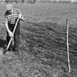 Een dag op de boerderij