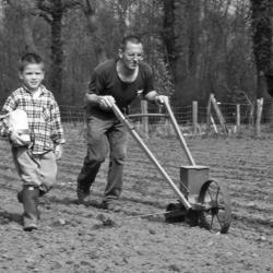 Bieten zaaien met handmachine