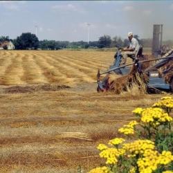 Een dag op de boerderij