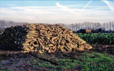 Bietenput [biëdeput]