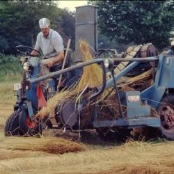 Een dag op de boerderij