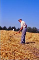 Stro handmatig met de vork opbarmen