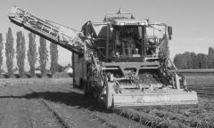 Moderne aardappelrooier