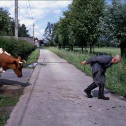 Een dag op de boerderij