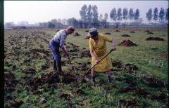 De stalmest openspreiden