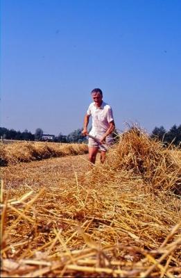 Stro voor het persen met de vork handmatig opbarmen