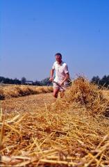 Stro voor het persen met de vork handmatig opbarmen