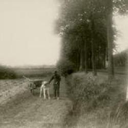 Portret van barones Jossine de Crombrugghe de Looringhe, jaren 1920