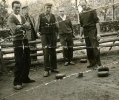 Groep krulbolders, Adegem