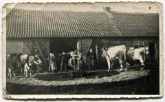 Graan zuiveren met de wannemolen.