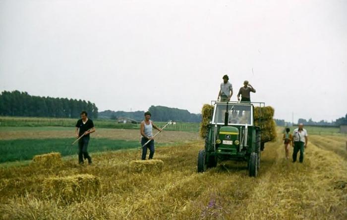 Strobalen in Vinderhoute