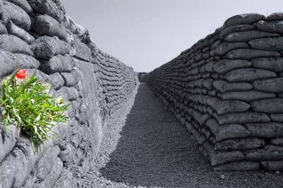 WO1: Gedicht van McCrae: In Flanders Fields