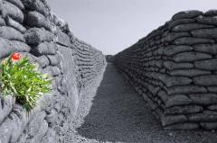 WO1: Gedicht van McCrae: In Flanders Fields