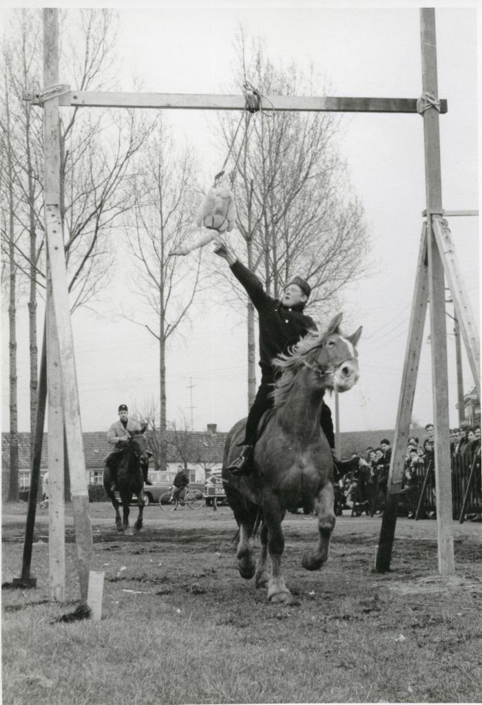 Ganzenrijding Oostmoer