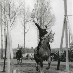 Ganzenrijding Oostmoer