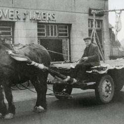 Ganzenrijding 1964