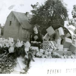 Leestjeskermis 1973