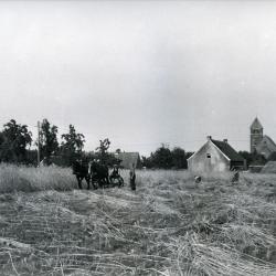 Hoeve Rapenburg, de schuur