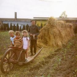 Kruiwagen 