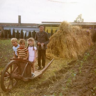 Kruiwagen 