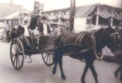 Reuzen van Zelzate - Katte stoet